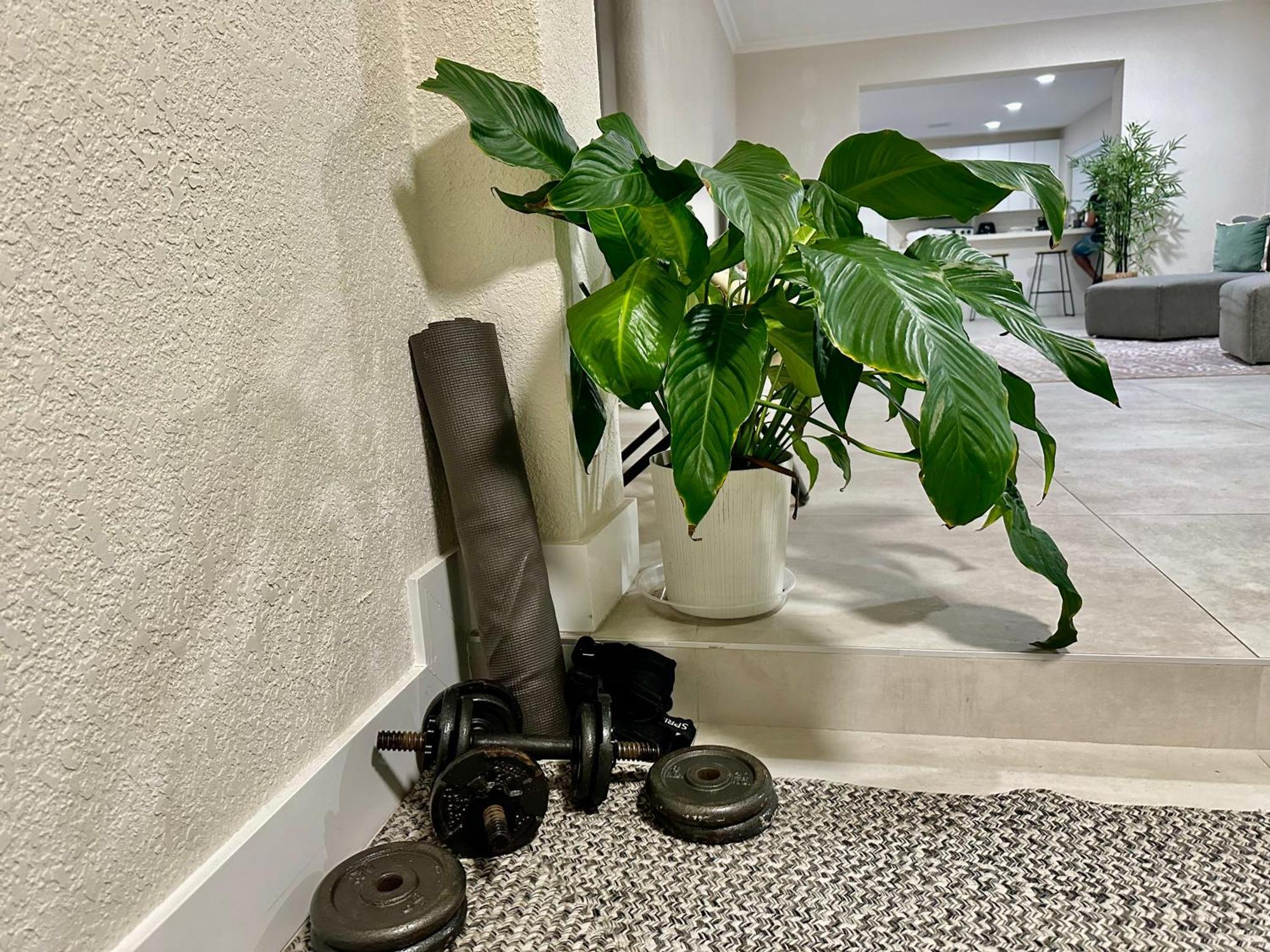 Albergue World Connect Miami Exterior foto